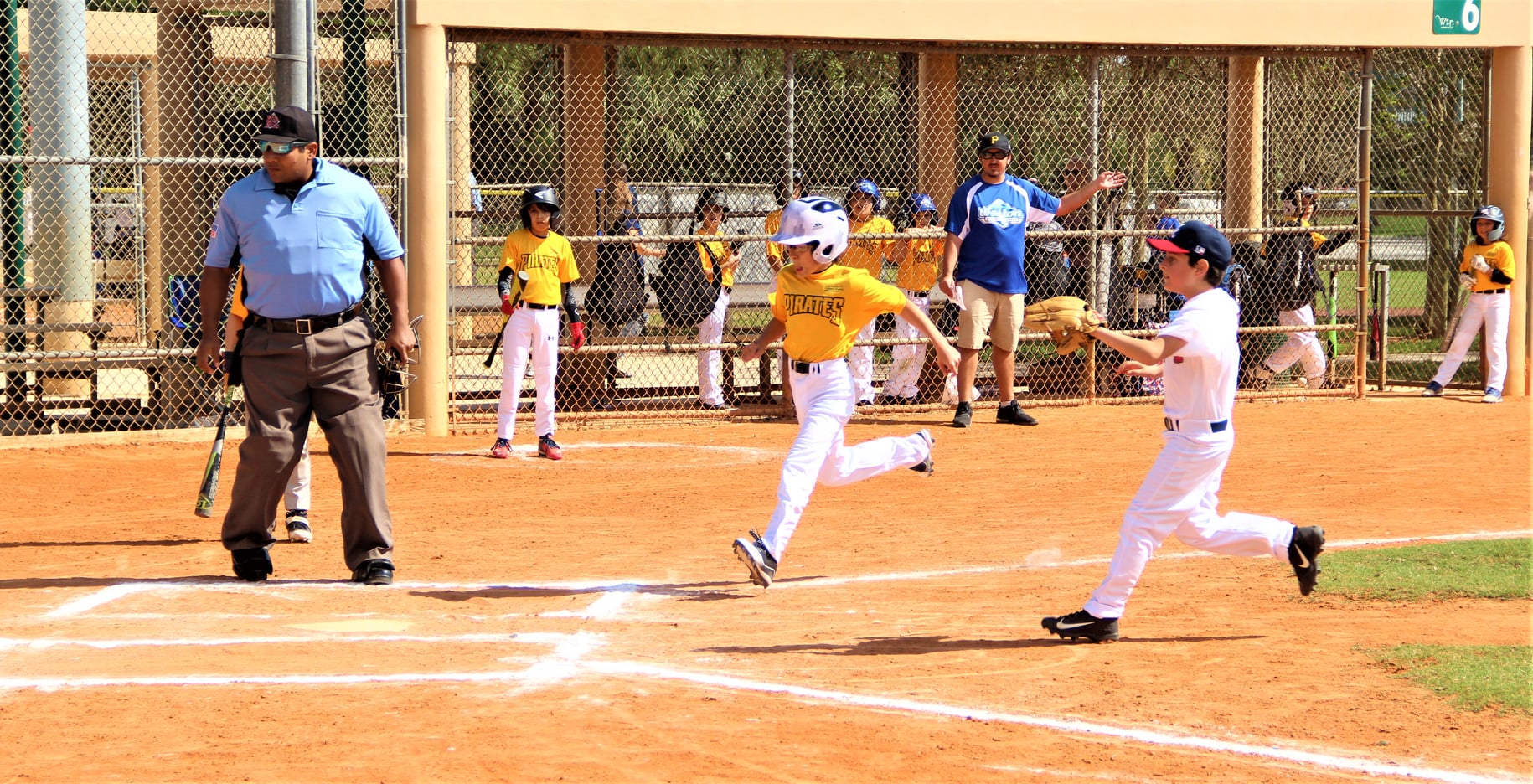 Hit a Home Run with Kids Baseball in Weston, Florida!